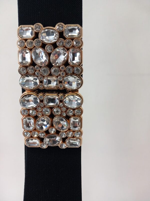 Bling-vyö patella - Image 3
