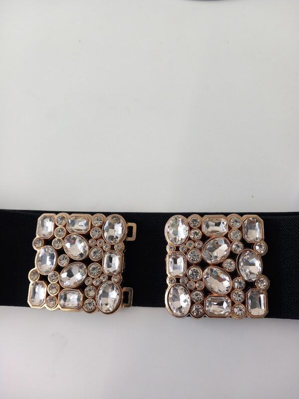 Bling-vyö patella - Image 4