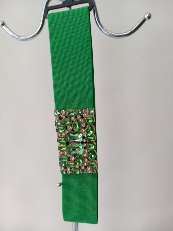 Bling-vyö patella - Image 2